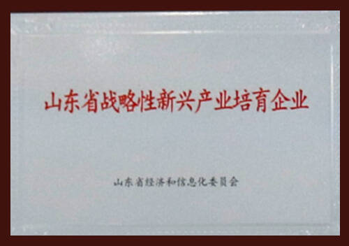 องค์กรเกิดใหม่ที่ได้รับการสนับสนุนเชิงกลยุทธ์